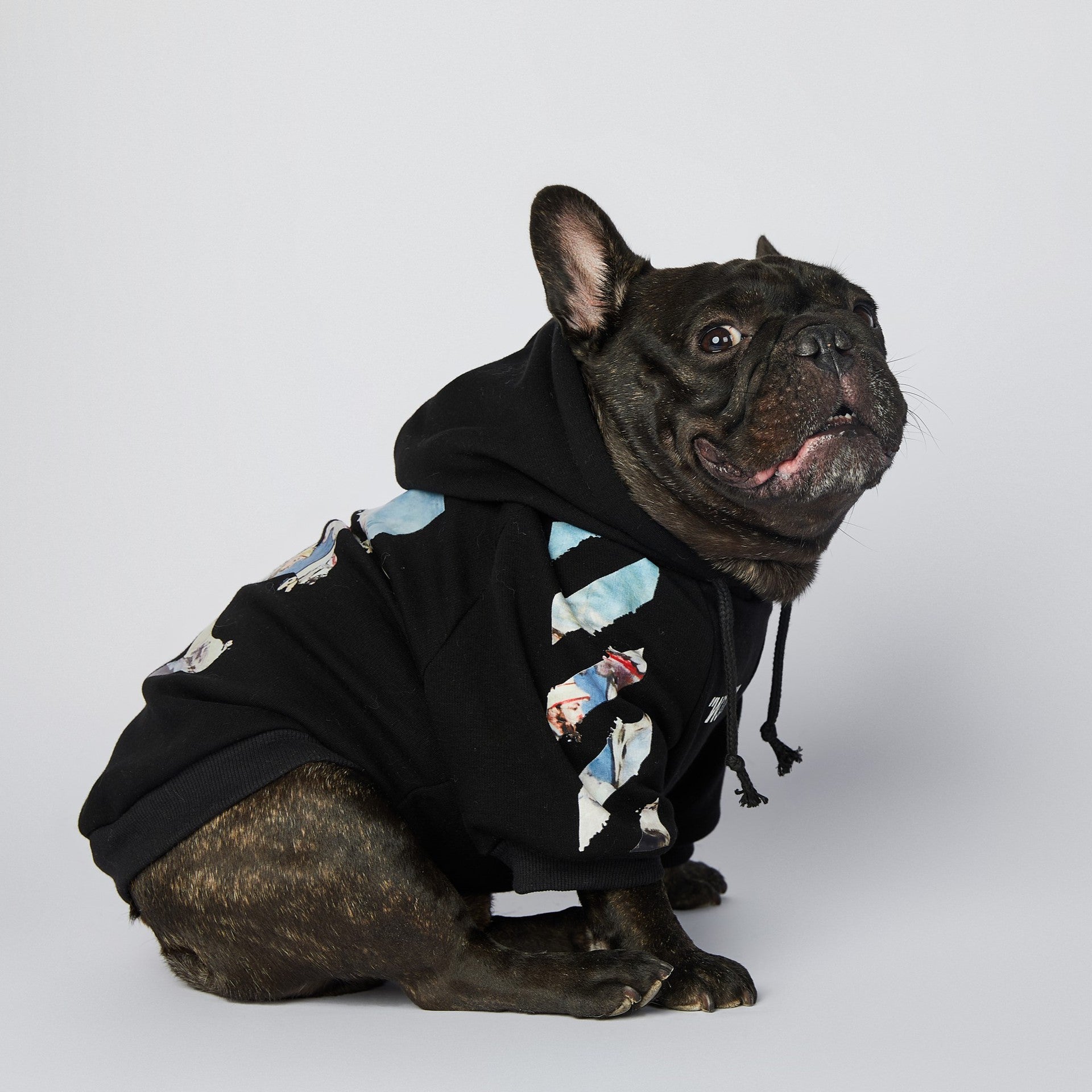 Schnauzer Pet Clothes Fashion Brand